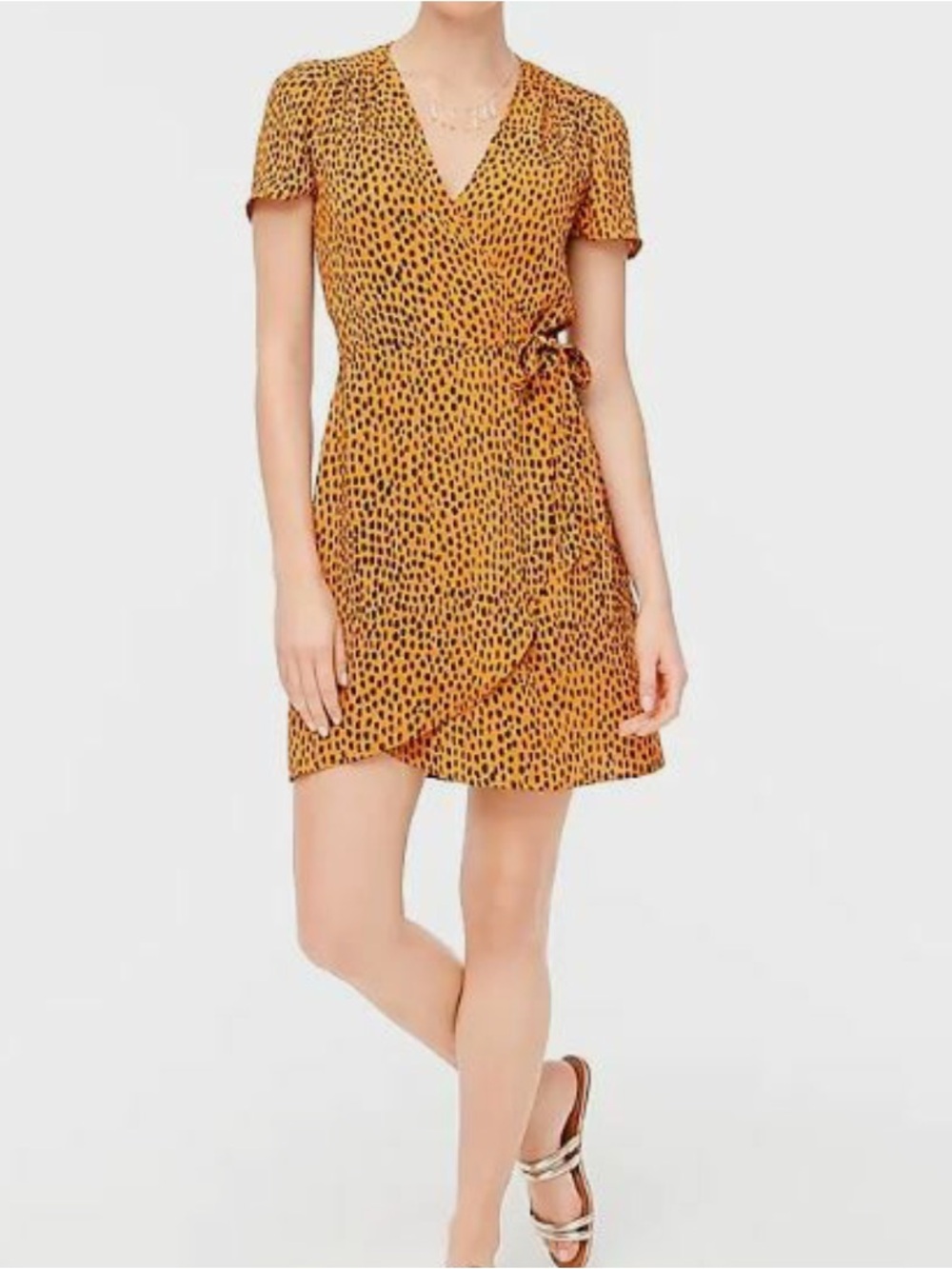 J. Crew factory animal print/Polka Dot Wrap Dress